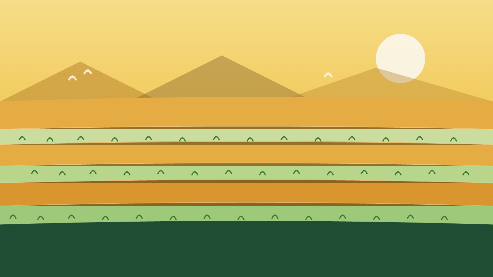 Organic Rice: A Step Toward Healthier Land and Healthier Lives