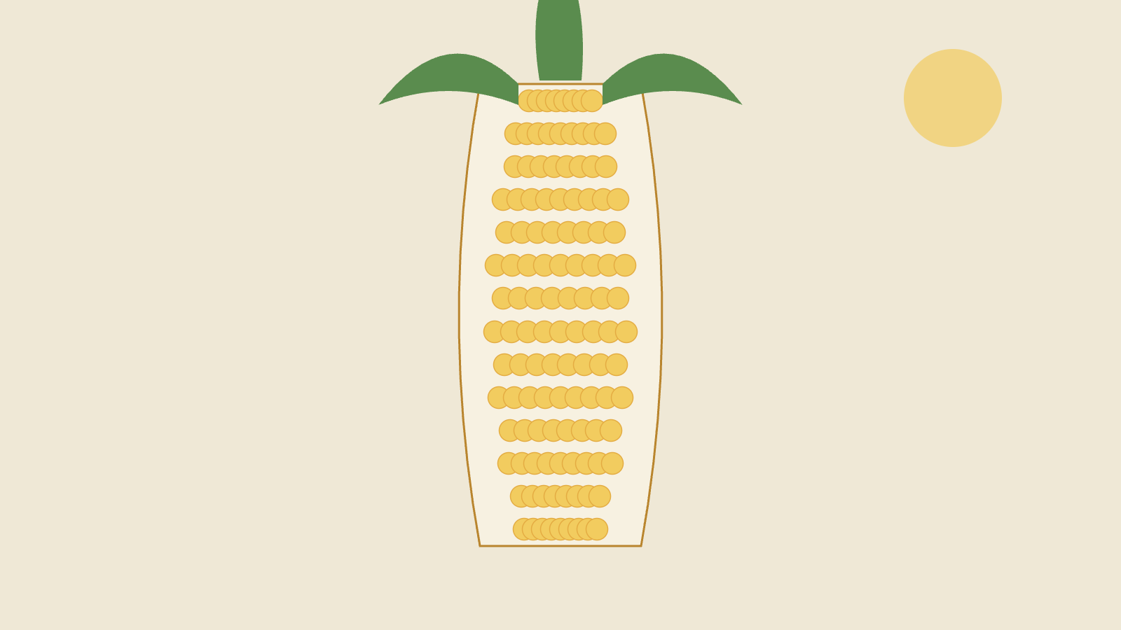 Case Study: White Waxy Corn